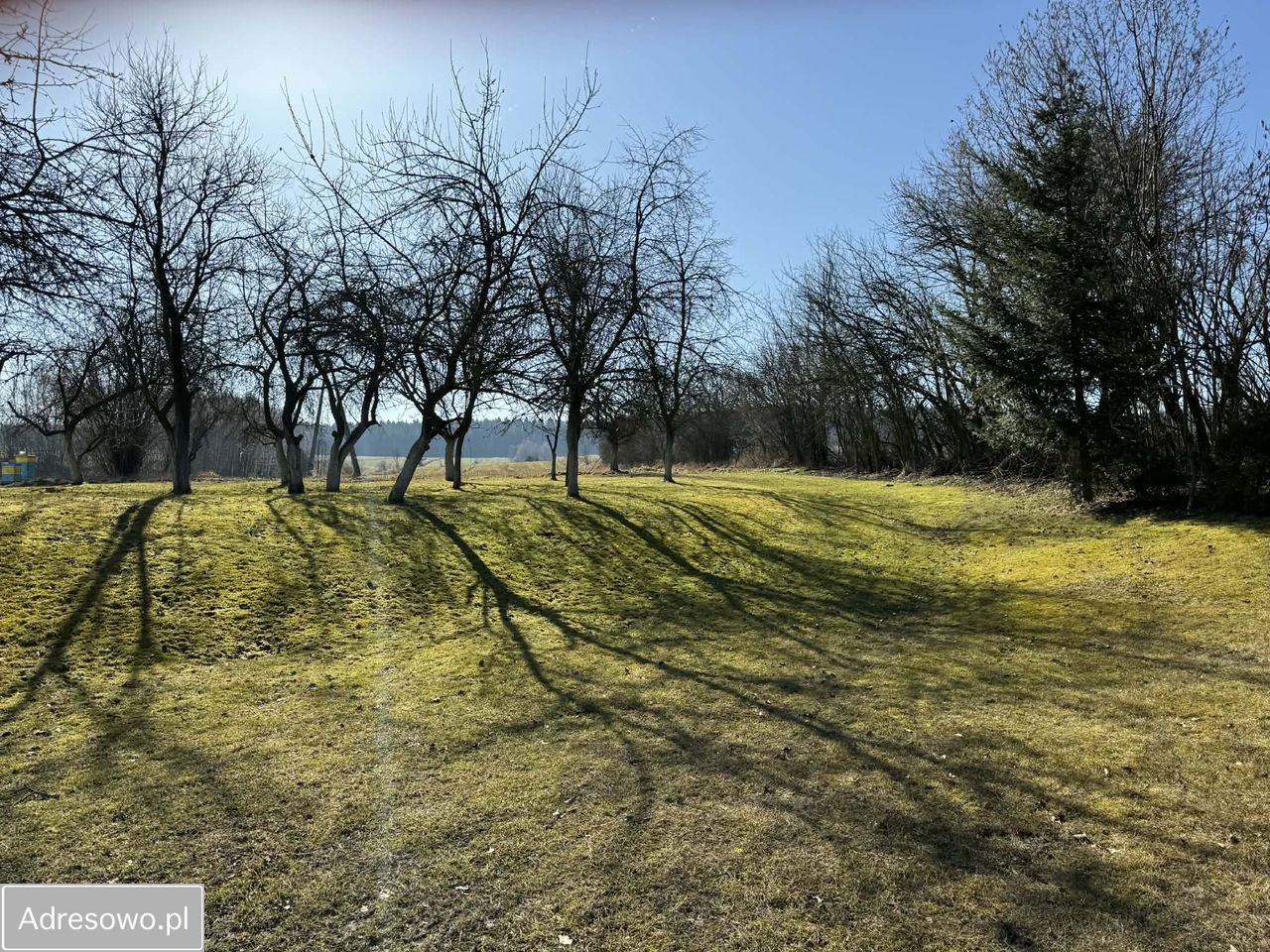 Działka rolno-budowlana Szypowice. Zdjęcie 2