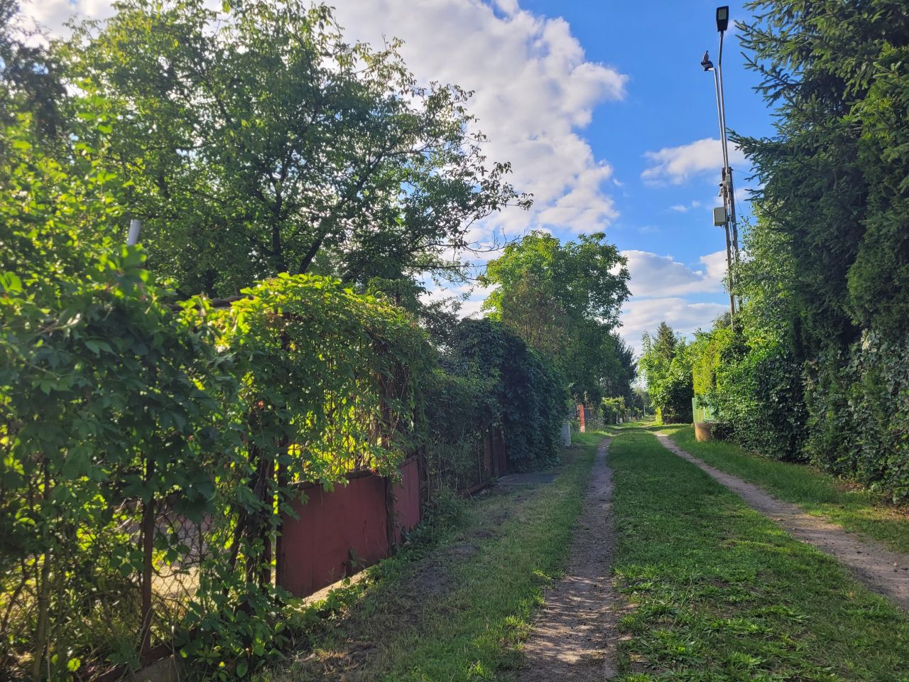 Działka rod Żyrardów, Adama Mickiewicza 55/57, 96-300. Zdjęcie 17