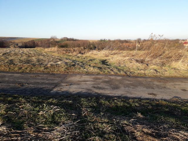 Działka budowlana Krasieniec Zakupny. Zdjęcie 3