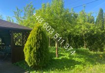 dom wolnostojący, 4 pokoje Podgórzyce, Podgórzyce. Zdjęcie 2