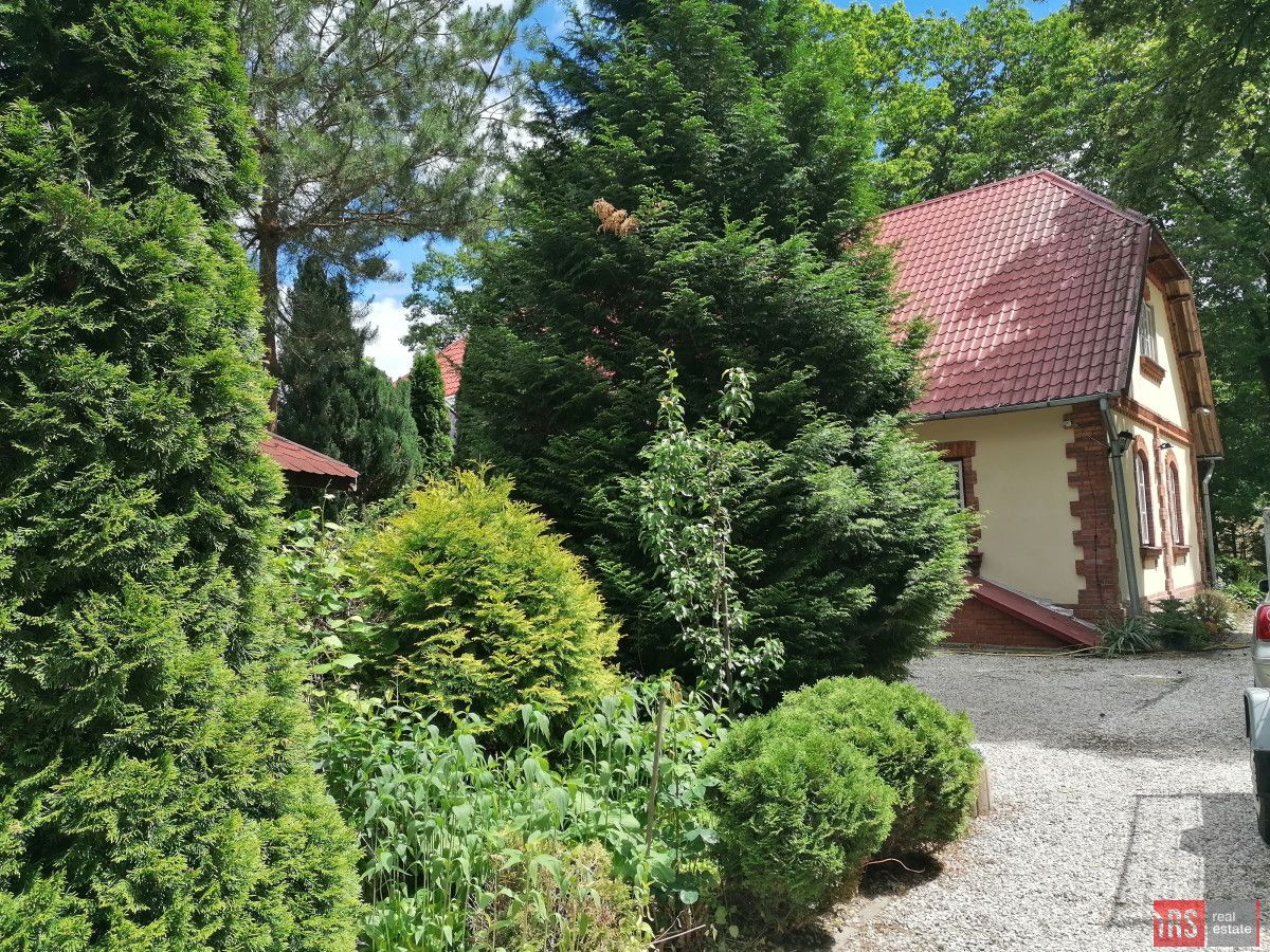dom wolnostojący, 6 pokoi Adampol kolonia. Zdjęcie 6