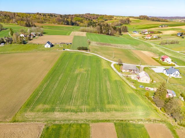 Działka budowlana Grodzisko. Zdjęcie 15