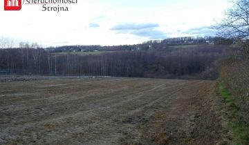 Działka budowlana Golkowice Lasowice
