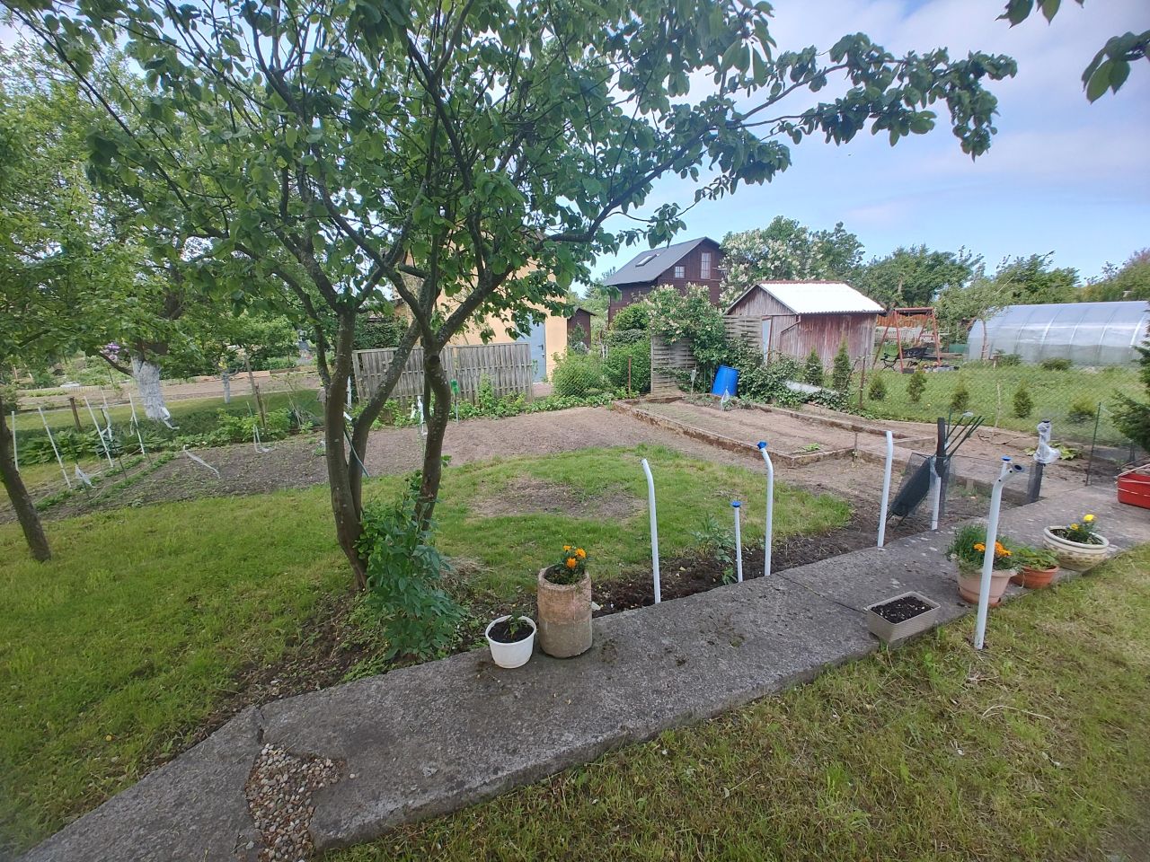 Działka rod Kołobrzeg, ul. Janiska. Zdjęcie 7