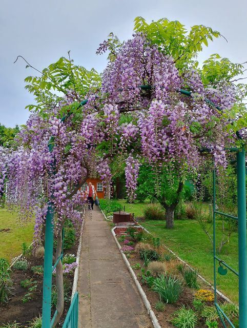 Działka rekreacyjna Ostrów Wielkopolski Zębców, ul. Wrocławska. Zdjęcie 6
