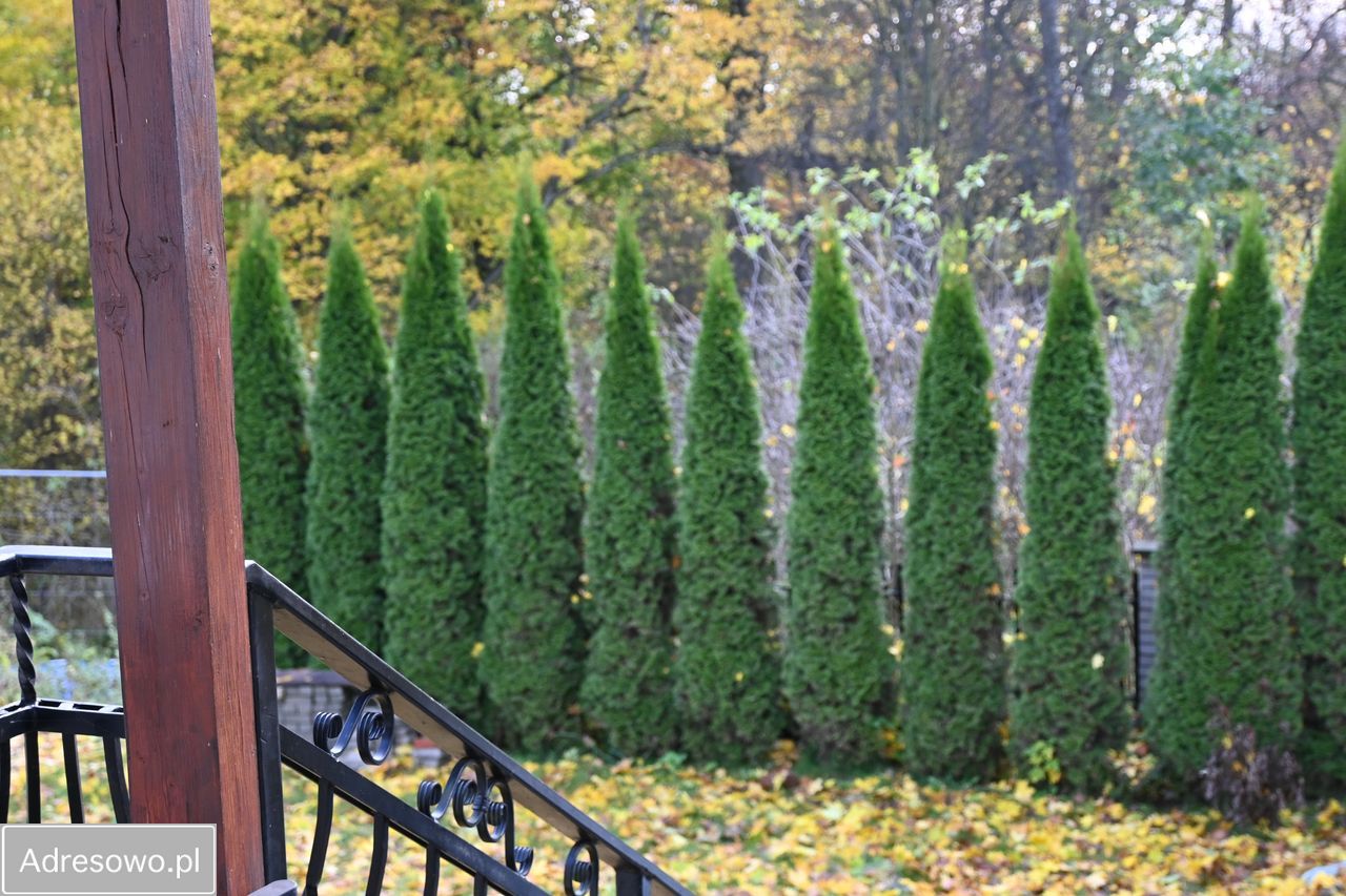 dworek, 5 pokoi Gołębiewo Wielkie, ul. Liliowa. Zdjęcie 11