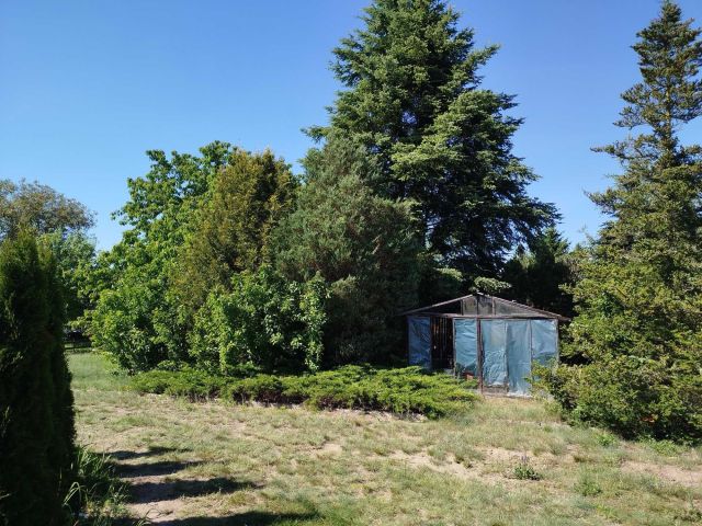 Działka rod Piła, al. Wojska Polskiego. Zdjęcie 1