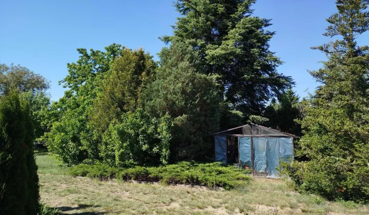 Działka rod Piła, al. Wojska Polskiego