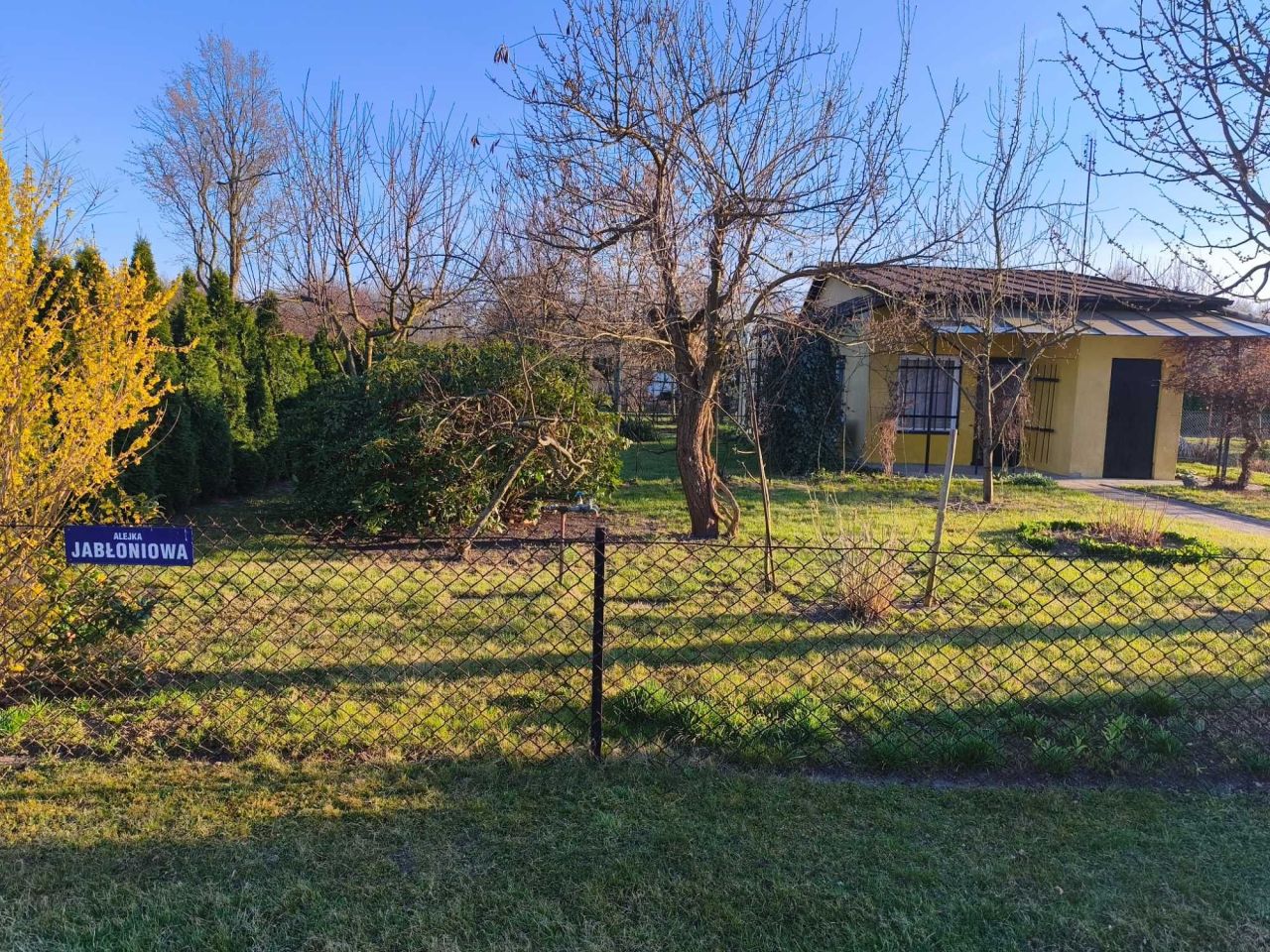 Działka rod Gorczyn. Zdjęcie 8