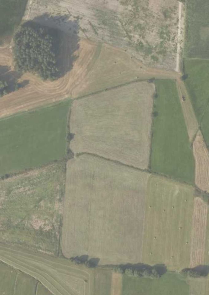 Działka rolna Sitawka. Zdjęcie 1