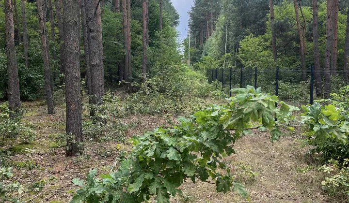 Działka budowlana Ciężków, ul. Calineczki