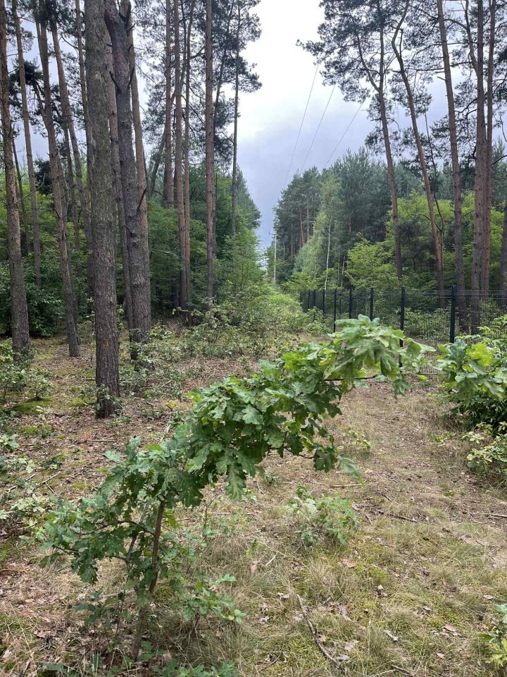 Działka budowlana Ciężków, ul. Calineczki. Zdjęcie 2