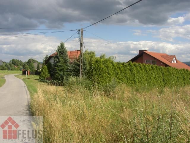 Działka rolno-budowlana Rusocice. Zdjęcie 4