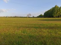 Działka rolno-budowlana Jurki. Zdjęcie 3