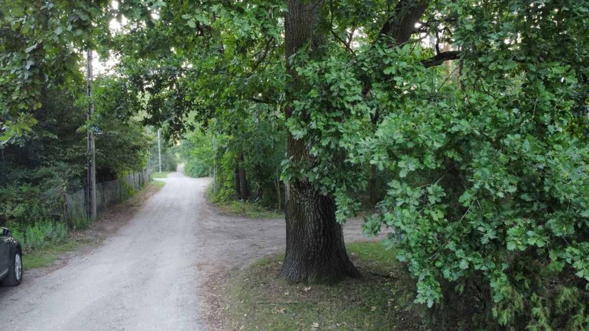 Działka leśna Warszawa Wesoła, ul. Władysława Broniewskiego. Zdjęcie 3