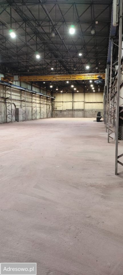 Hala/magazyn Radom Potkanów. Zdjęcie 8