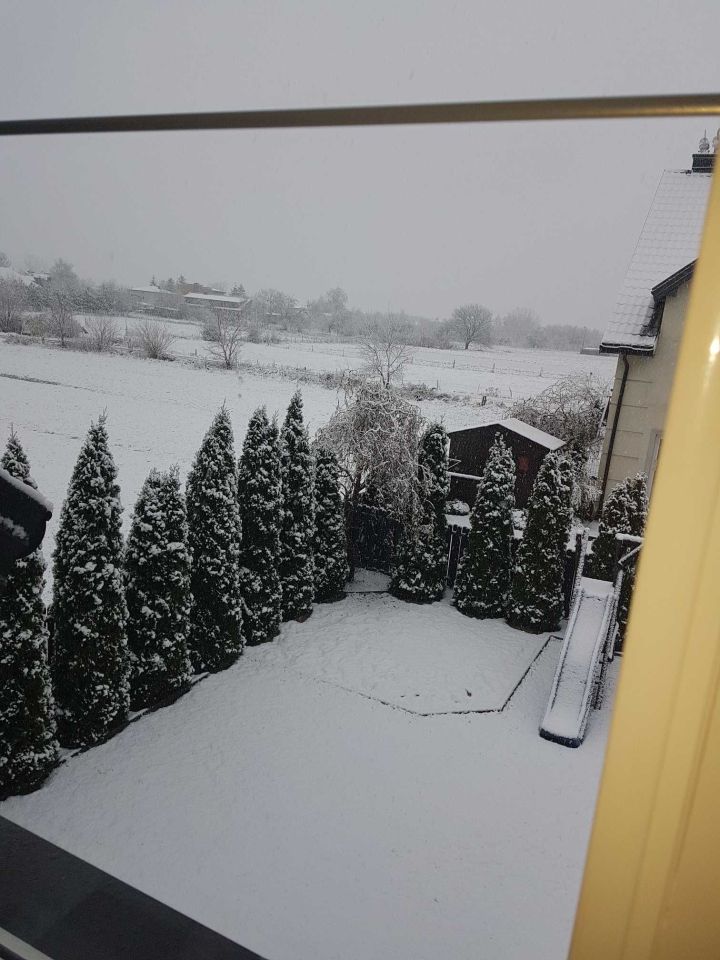 bliźniak Słupno. Zdjęcie 7