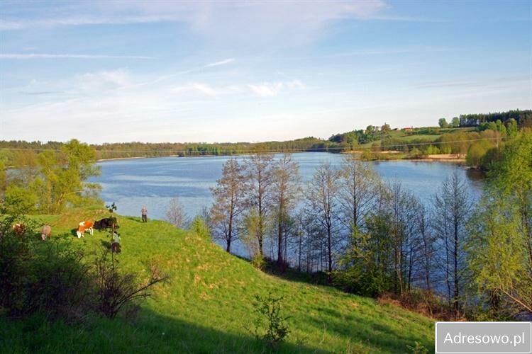 Działka rolno-budowlana Kiersztanowo. Zdjęcie 3