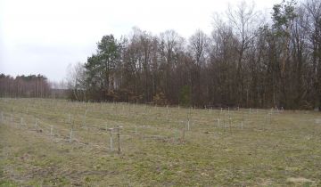 Działka rolno-budowlana Janopol