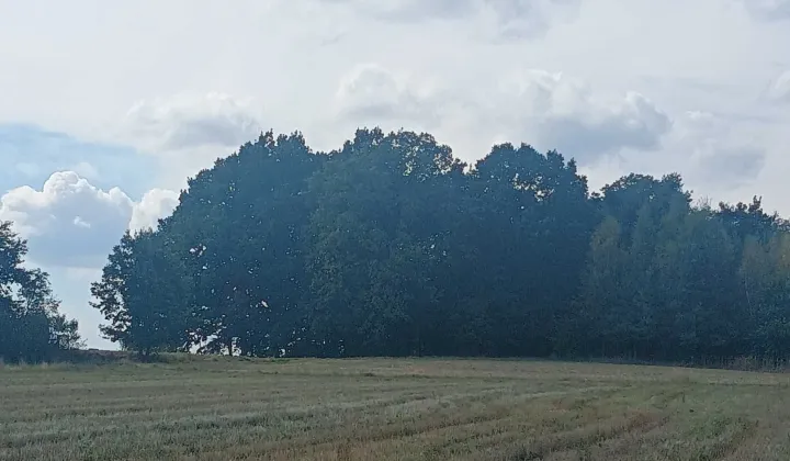 Działka budowlana Rybnik Kłokocin