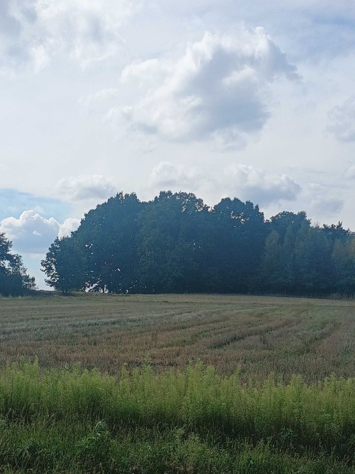 Działka budowlana Rybnik Kłokocin