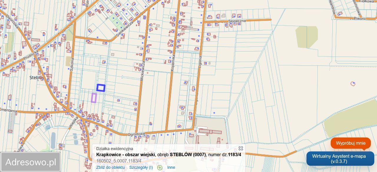Działka budowlana Steblów. Zdjęcie 1