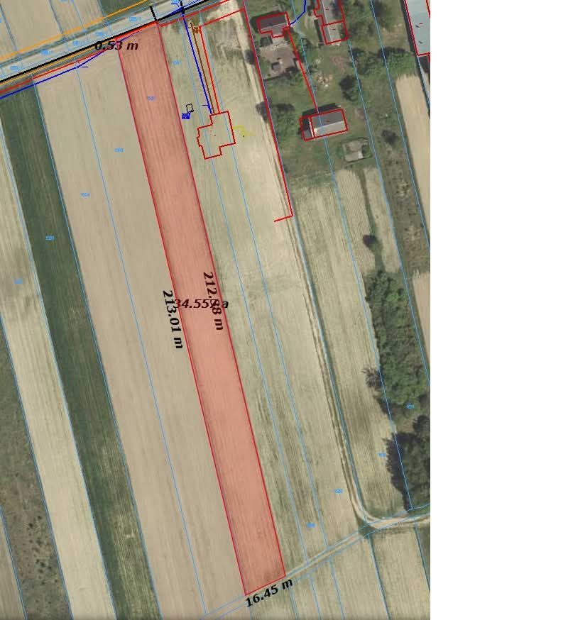 Działka rolno-budowlana Wolica-Kolonia. Zdjęcie 5