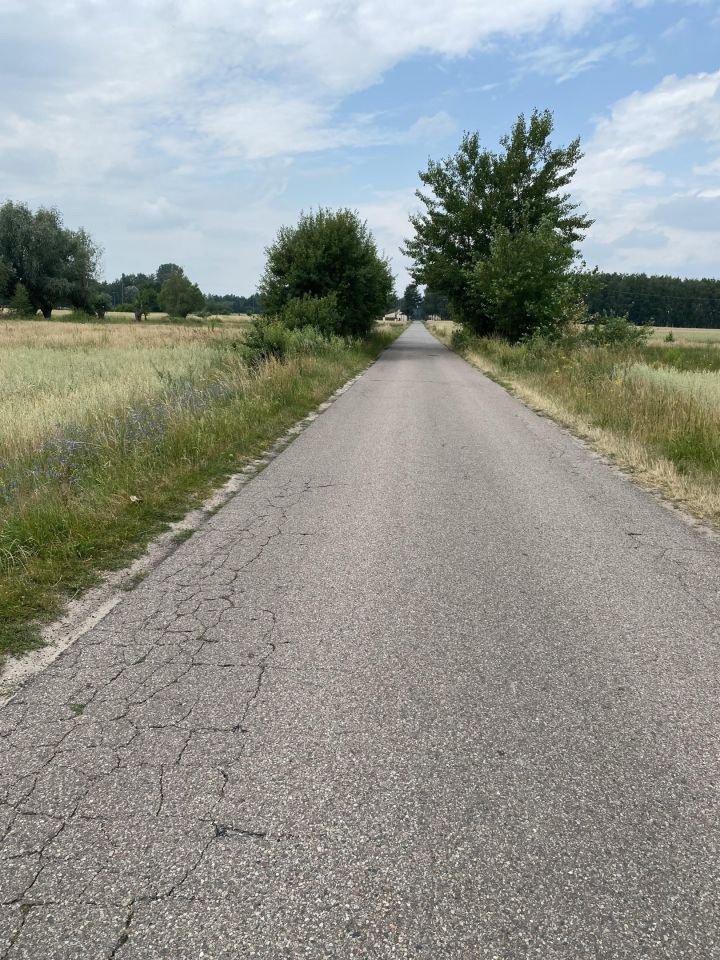 Działka rolno-budowlana Szczawin Borowy-Wieś. Zdjęcie 6
