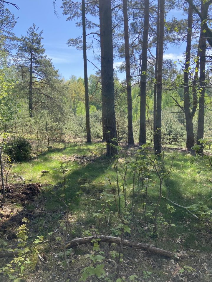 Działka rolno-budowlana Narty, ul. Długa. Zdjęcie 7