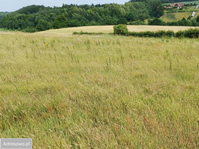 Działka budowlana Połęczyno, ul. na Wzgórzu. Zdjęcie 12