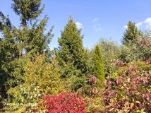 Działka rod Łódź Widzew, ul. Opolska. Zdjęcie 3