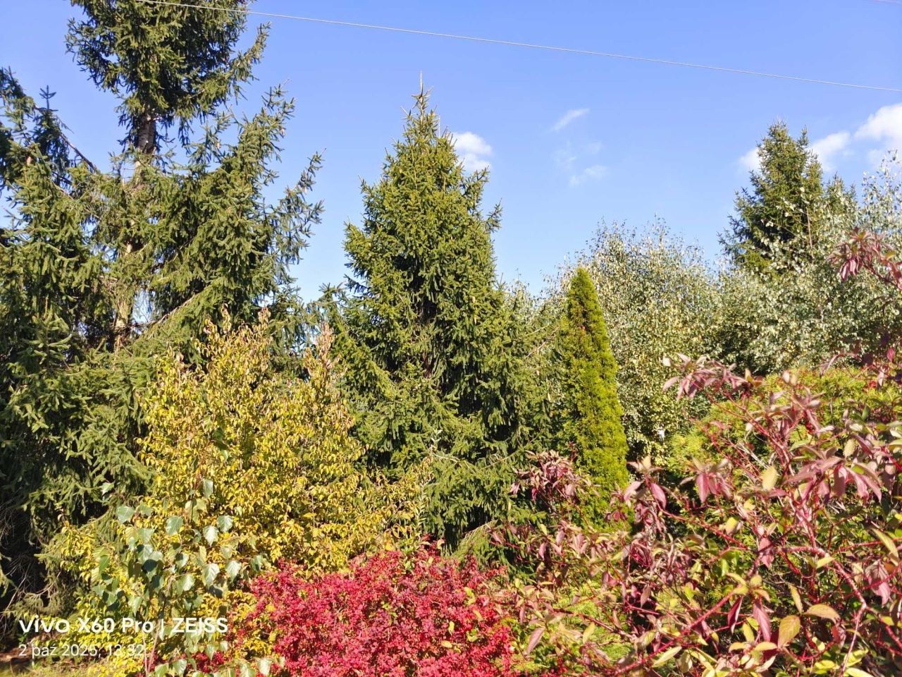 Działka rod Łódź Widzew, ul. Opolska. Zdjęcie 4