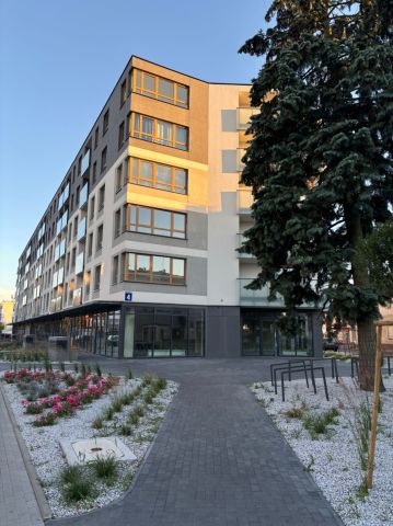 Mieszkanie 3-pokojowe Siedlce Centrum, ul. Armii Krajowej. Zdjęcie 1