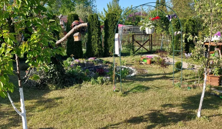 Działka rod Sosnowiec Klimontów, ul. Gabrieli Zapolskiej