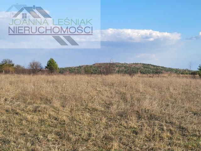 Działka budowlana Chechło, ul. Kluczewska. Zdjęcie 6