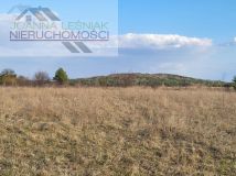 Działka budowlana Chechło, ul. Kluczewska. Zdjęcie 4