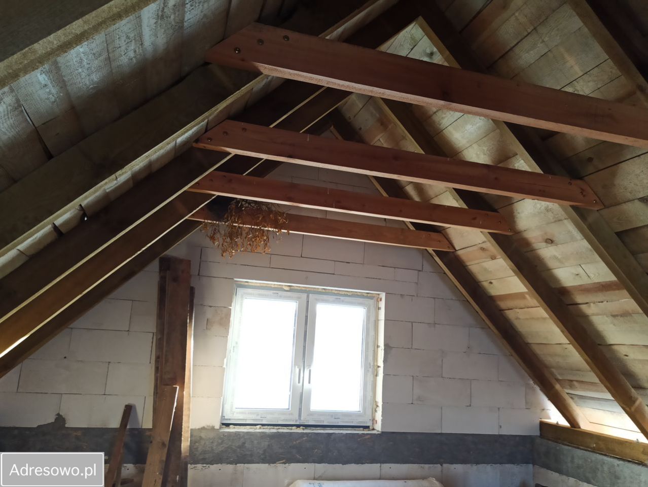 dom wolnostojący, 3 pokoje Oleksin. Zdjęcie 4