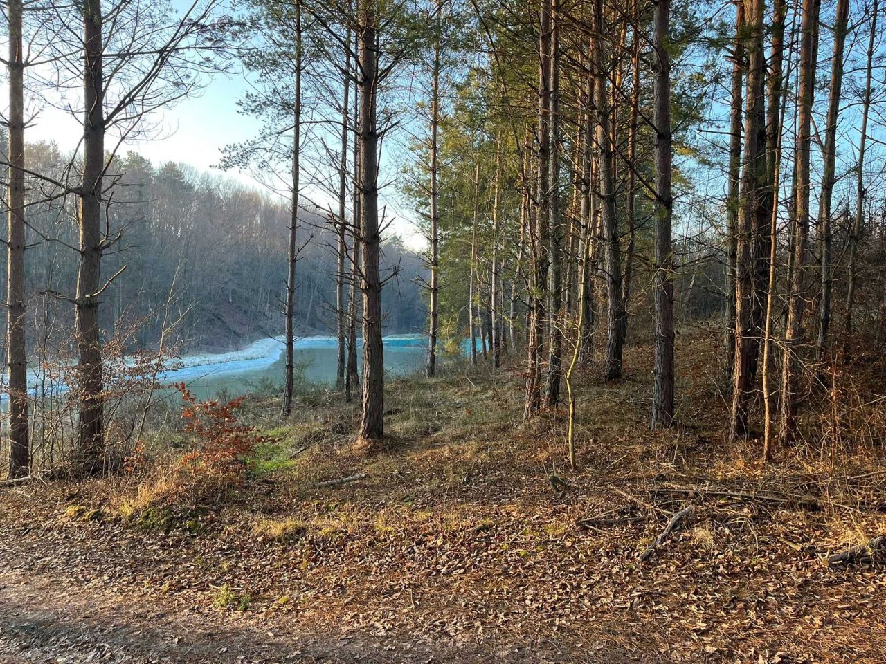 Działka Borówna. Zdjęcie 3