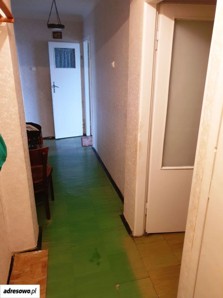 Zdjęcie 3
