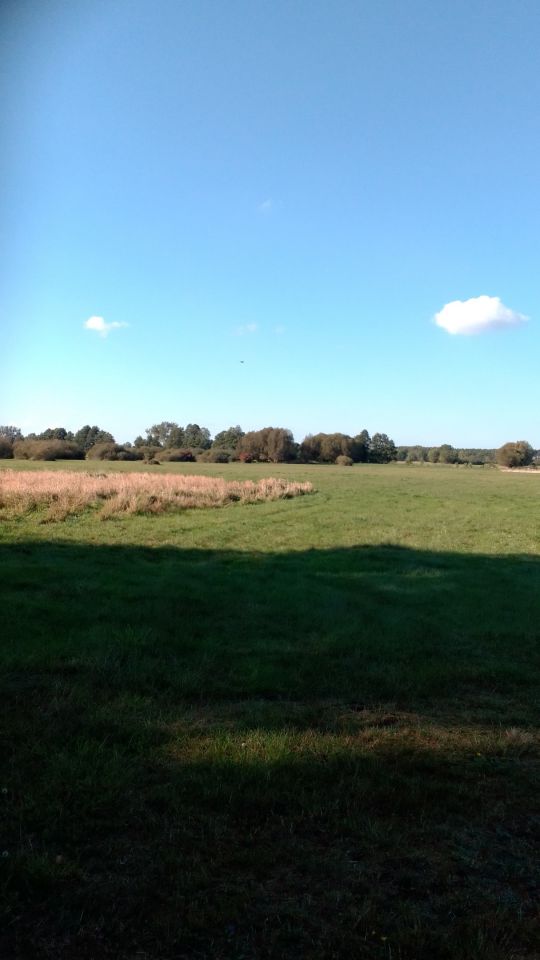 Działka rolna Żarnówko. Zdjęcie 2