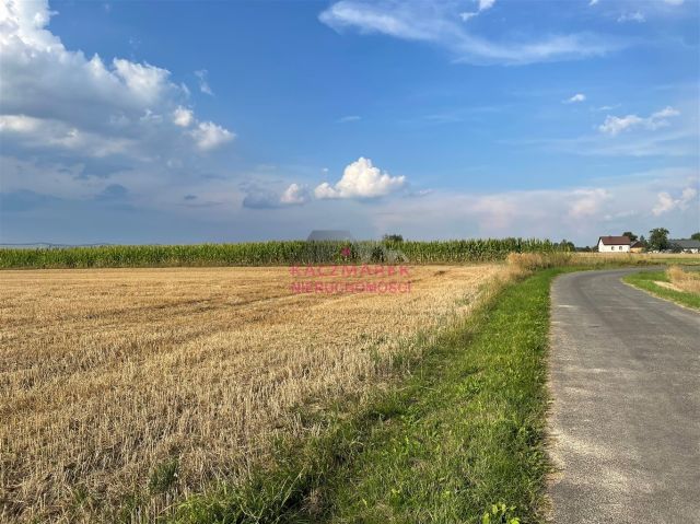 Działka budowlana Pawłowice, ul. Spacerowa. Zdjęcie 5