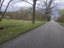 Działka rolno-budowlana Zadębie. Zdjęcie 1