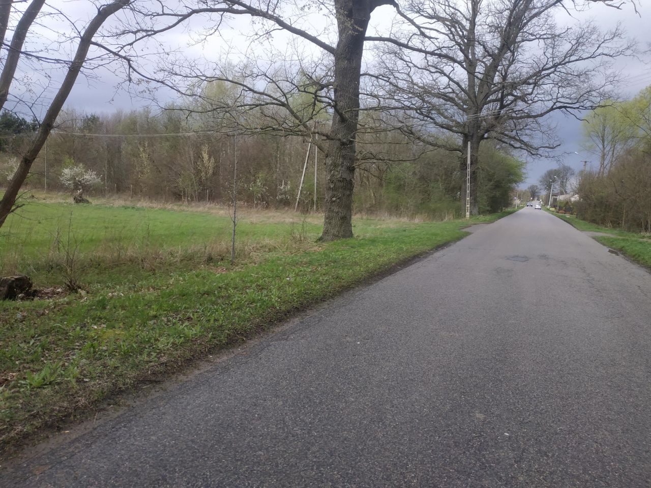 Działka rolno-budowlana Zadębie. Zdjęcie 2