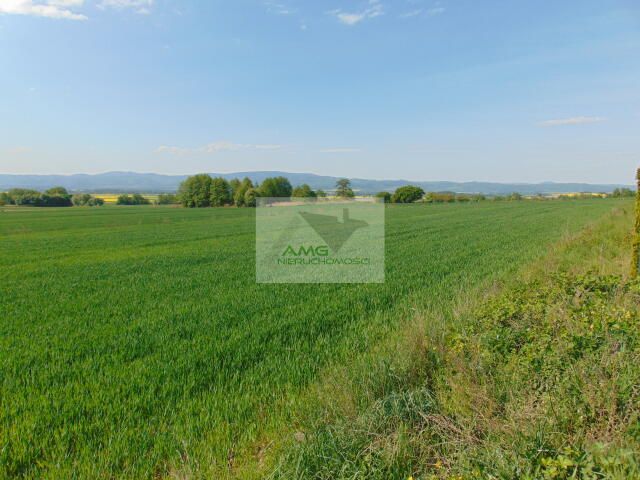 Działka rolno-budowlana Kiełczyn. Zdjęcie 3