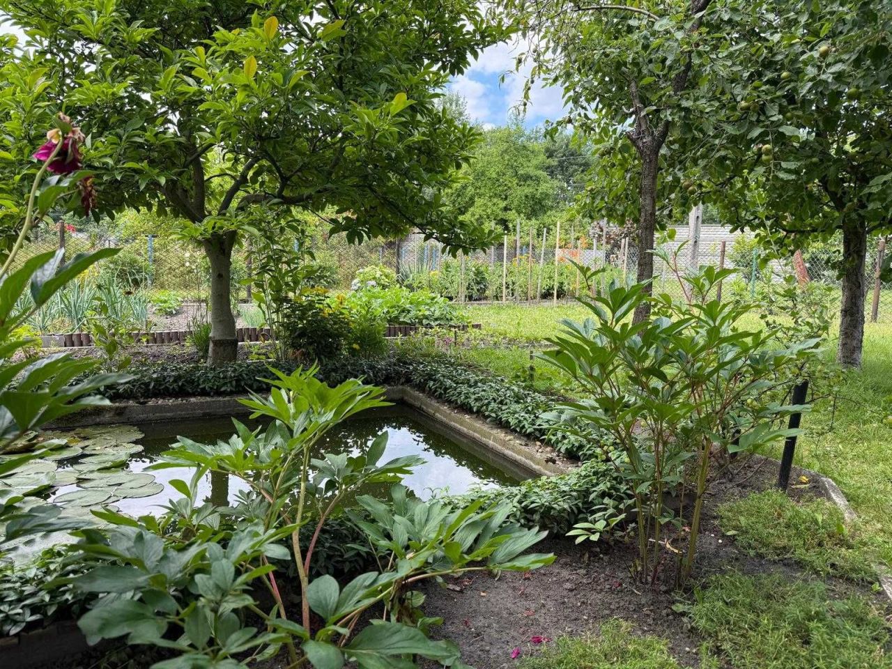 Działka rod Zabrze Centrum, ul. Gdańska. Zdjęcie 4