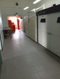 Nieruchomość komercyjna Osiecza Pierwsza. Zdjęcie 2