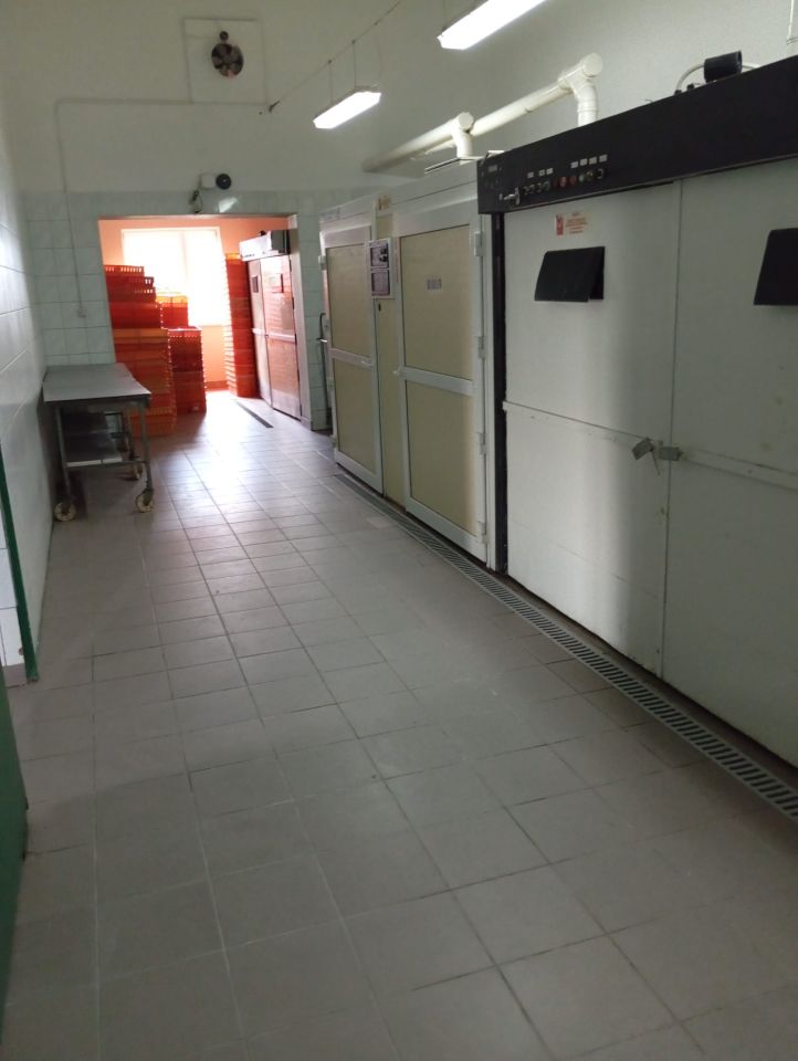 Nieruchomość komercyjna Osiecza Pierwsza. Zdjęcie 6