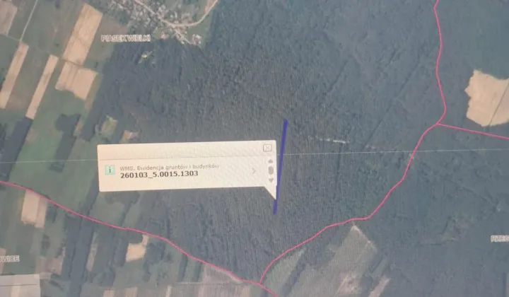 Działka leśna Piasek Wielki