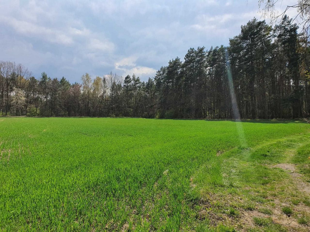 Działka budowlana Besiekierz Rudny. Zdjęcie 2