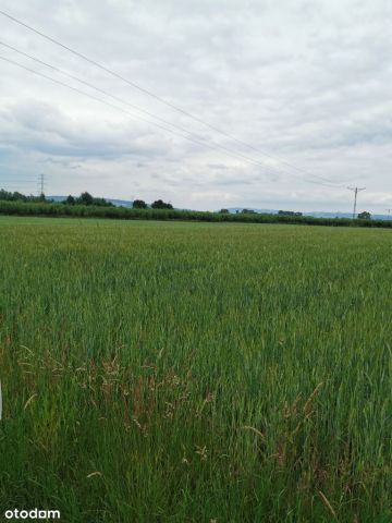 Działka inwestycyjna Nowy Sącz Biegonice, ul. Towarowa. Zdjęcie 1